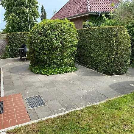 Gaensebluemchen Auf Dem Ostsee-ferienhof * Schwienkuhl